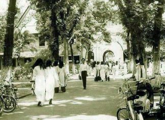 Cảm nhận âm nhạc: Bài hát Kỷ Niệm Một Mùa Hè và nỗi buồn “giấy thơm học trò”