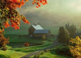 Lịch sử và ý nghĩa của bản nhạc Scarborough Fair – Giàn Thiên Lý Đã Xa