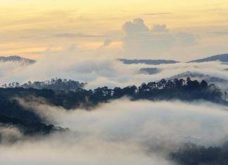 Nhạc sĩ Văn Cao và những ca khúc “thoát tục”: Thiên Thai, Suối Mơ