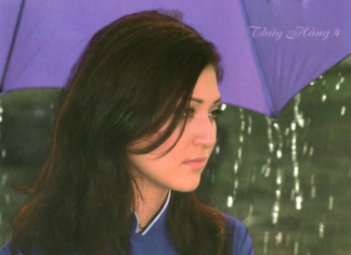 Hiện tượng ca sĩ Thúy Hằng và Cô Lái Đò Bến Hạ