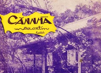 Hoàn cảnh sáng tác và cảm nhận về ca khúc “Căn Nhà Màu Tím” (nhạc sĩ Hoài Linh) – “Cho anh bông hồng còn thắm…”