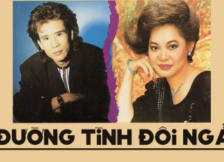 Ca khúc “Đường Tình Đôi Ngả” (nhạc sĩ Ngân Giang) và dấu ấn của 1 đôi song ca huyền thoại