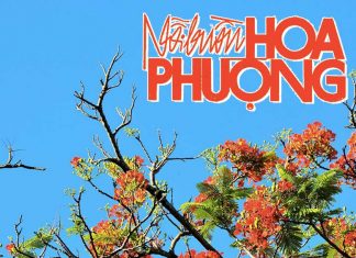 Hoàn cảnh sáng tác ca khúc “Nỗi Buồn Hoa Phượng” (Thanh Sơn) – Người xưa biết đâu mà tìm…