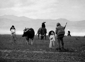 Giờ này anh ở đâu, Dục Mỹ hay Lam Sơn?