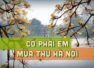 Hoàn cảnh sáng tác “Có Phải Em Mùa Thu Hà Nội” – Một bài hát trước 75 của nhạc sĩ Trần Quang Lộc