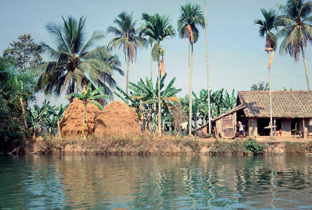 Hình ảnh về làng quê Thanh Bình miền Nam trước 1975 sẽ đưa bạn trở lại thời kỳ đơn giản và bình yên của quê hương. Những cánh đồng lúa bạt ngàn, những con sông êm đềm và những ngôi nhà gỗ truyền thống sẽ khiến bạn đắm chìm trong khung cảnh tràn đầy nét đẹp tự nhiên của miền quê Việt.