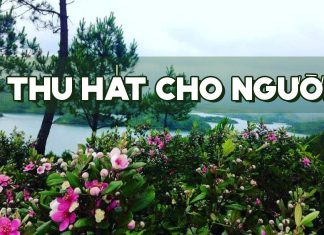 Hoàn cảnh sáng tác “Thu, Hát Cho Người” của nhạc sĩ Vũ Đức Sao Biển – Hoàng hạc bay mãi bỏ trời mơ…