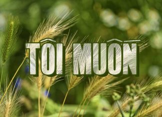 Thông điệp của nhạc sĩ Lê Hựu Hà trong ca khúc “Tôi Muốn”: Tôi muốn khóc thương đời điêu tàn…