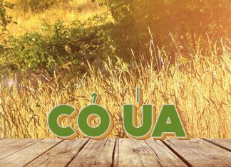 Cảm nhận âm nhạc: Cỏ Úa (nhạc sĩ Lam Phương) – Cứ cúi mặt đi để nghe đời lầm lỡ…