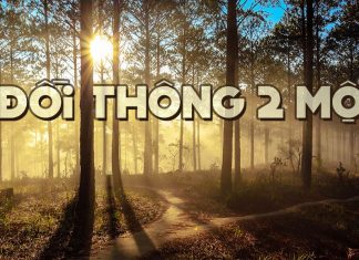 Sự tích chuyện tình Hồ Than Thở và ca khúc “Đồi Thông Hai Mộ” của nhạc sĩ Hồng Vân
