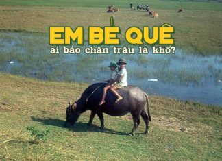 Ca khúc “Em Bé Quê” của nhạc sĩ Phạm Duy – Tuổi thơ một thời của các thế hệ thiếu nhi trên nửa thế kỷ: “Ai bảo chăn trâu là khổ…”