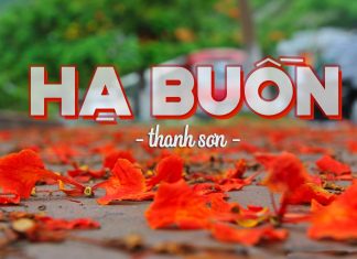 Tâm sự tuổi học trò trong ca khúc Hạ Buồn (nhạc sĩ Thanh Sơn) – “Xót thương xác phượng tả tơi bên đường…”