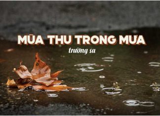 Hoàn cảnh sáng tác ca khúc “Mùa Thu Trong Mưa” (nhạc sĩ Trường Sa) – Trầm lặng người đi qua trên đường phố rét mướt…