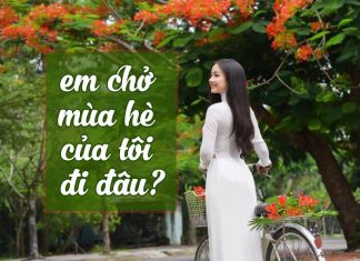 Những chiếc giỏ xe chở đầy hoa phượng, em chở mùa hè của tôi đi đâu?