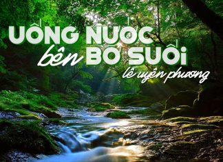 Ca khúc “Uống Nước Bên Bờ Suối” (Lê Uyên Phương) và những dòng suối trinh nguyên trong tân nhạc Viêt