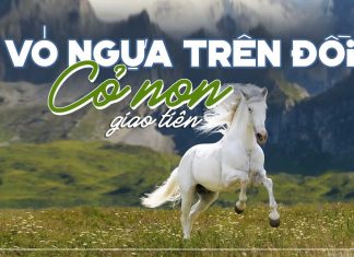 Ý nghĩa của bài hát “Vó Ngựa Trên Đồi Cỏ Non” (nhạc sĩ Giao Tiên) – “Ta thoát cơn mê cùng dắt nhau về…”