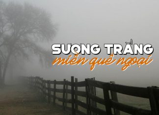 Số phận đặc biệt của ca khúc “Sương Trắng Miền Quê Ngoại” của Đinh Miên Vũ – Lội bùn dơ băng lau lách xuyên đêm…