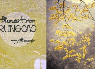 Ca khúc “Thư Xuân Trên Rừng Cao” (Trịnh Lâm Ngân) – Nỗi lòng ngày xuân của người lính rừng