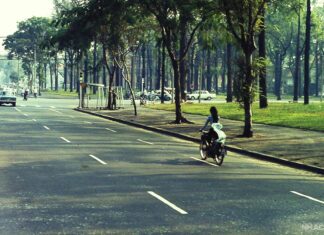Tuyển chọn những hình ảnh đẹp của Sài Gòn xưa có rợp bóng cây xanh