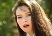 Nhan sắc thời trẻ của Như Quỳnh qua loạt ảnh và video ca nhạc khi còn ở trong nước