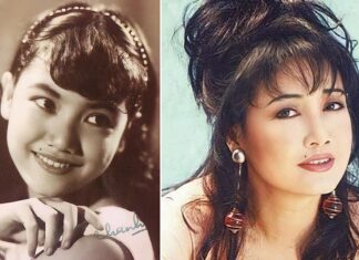 Bộ sưu tập ảnh đẹp của ca sĩ Thanh Lan – Nữ nghệ sĩ tài sắc vẹn toàn