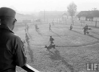 Nguồn gốc tên gọi “Ngã 5 Chuồng Chó” ở Gò Vấp và câu chuyện về những chú “quân khuyển” xưa