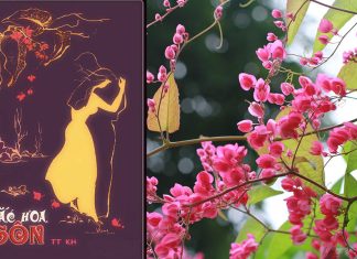 Câu chuyện ly kỳ về “Hai Sắc Hoa Ti-Gôn” của tác giả bí ẩn TTKh