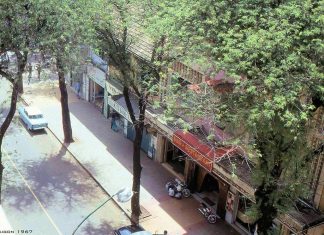 Tìm về những hàng me trên đường phố Sài Gòn xưa